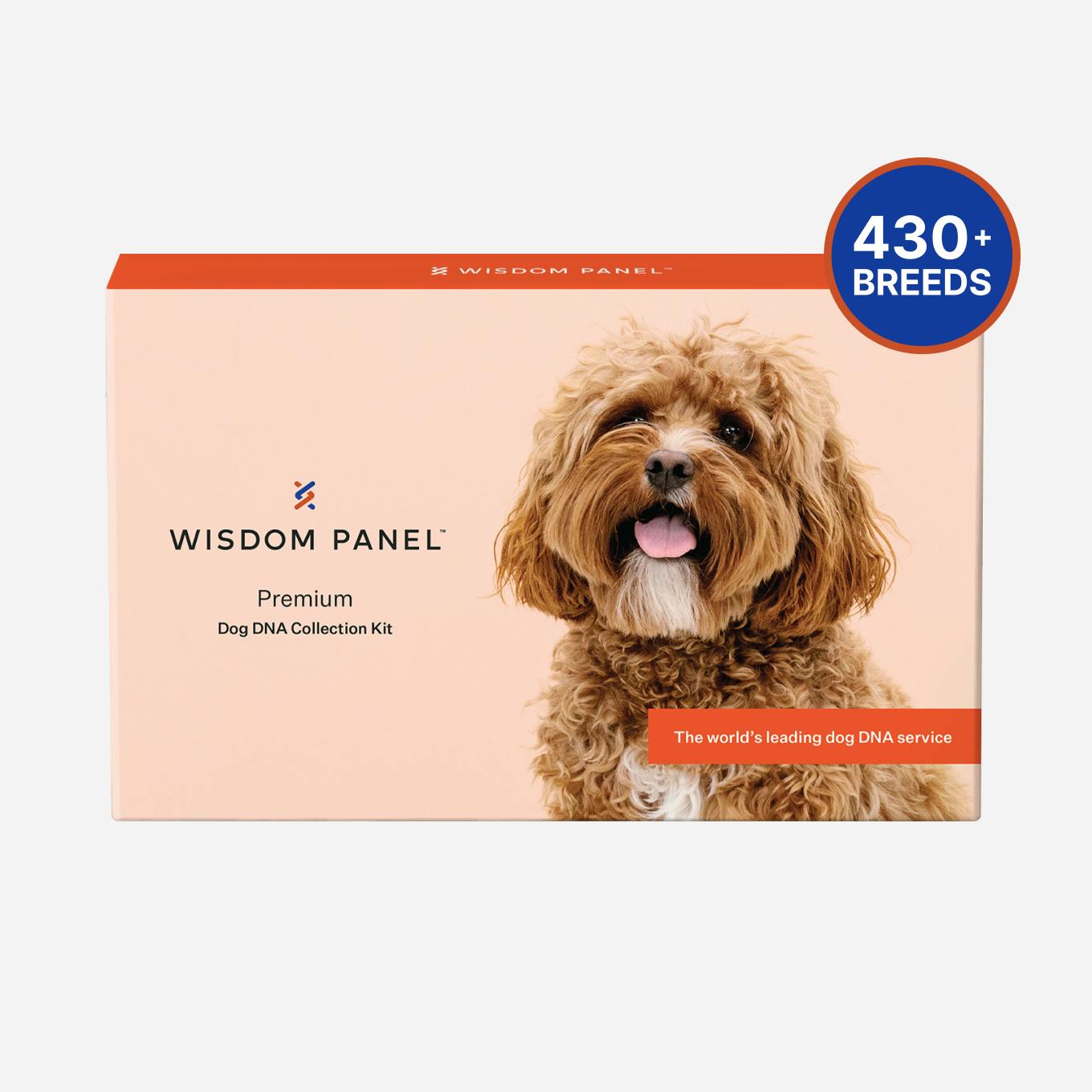 Premium Dog DNA Collection kit